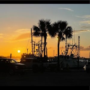 Meet your Posher, Lorraine